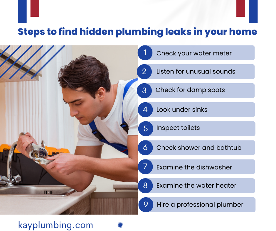 Hidden Plumbing Leaks